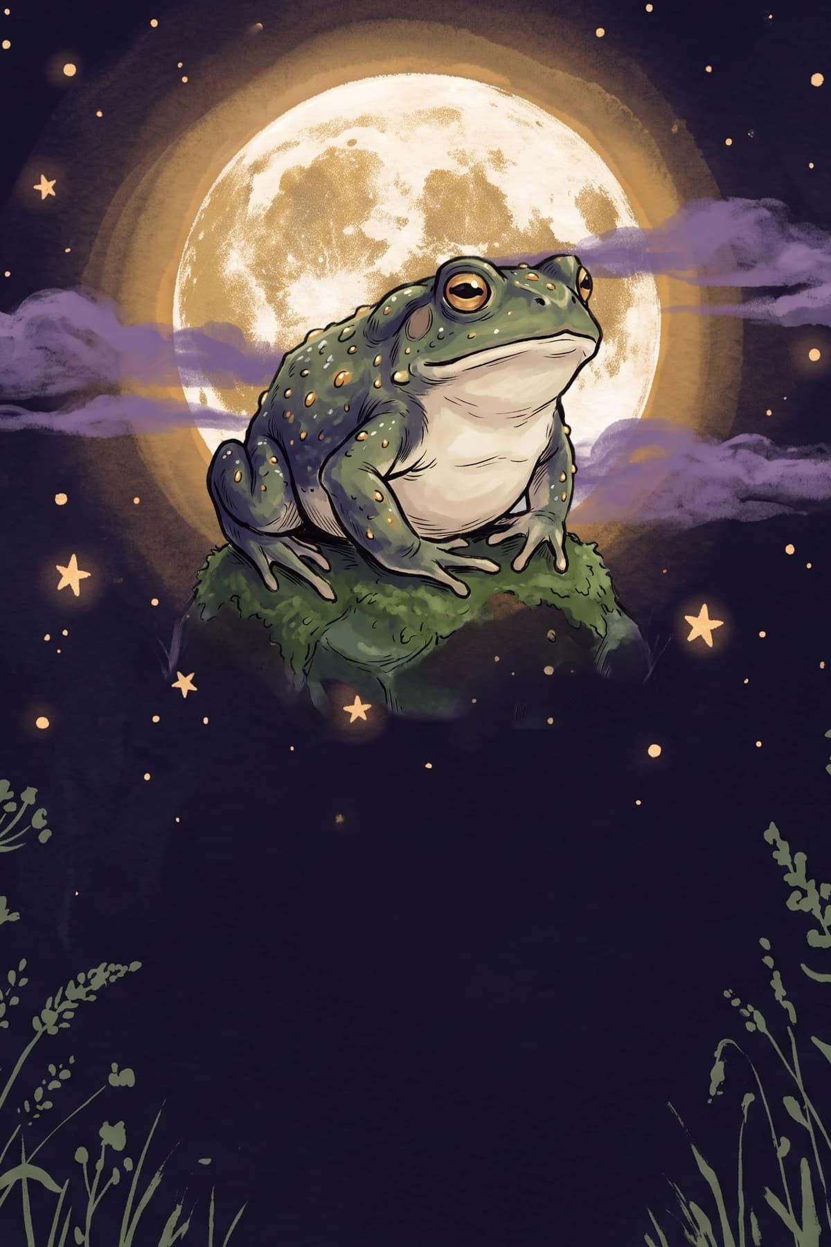 O Sapo — a carta do familiar de Lia