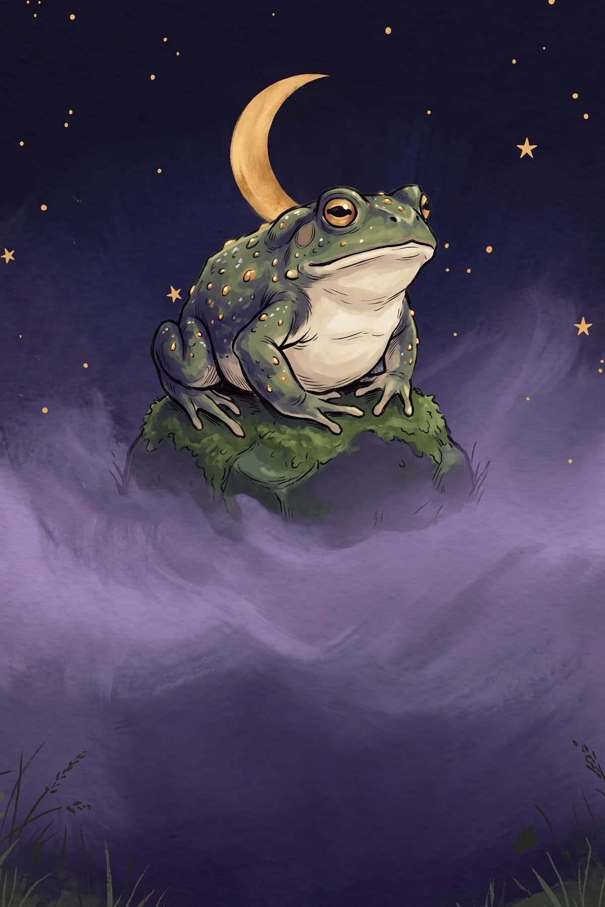 O Sapo — a carta do familiar de ooi